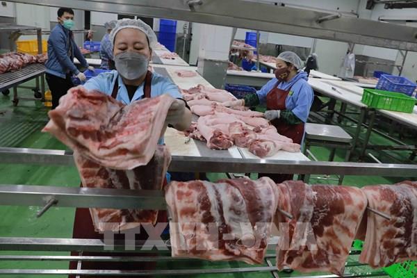 Doanh nghiệp chăn nuôi lợn kỳ vọng lấy lại ưu thế trong nửa cuối năm 2022