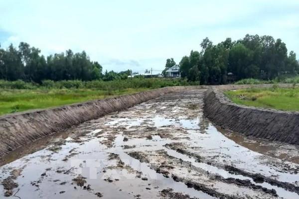 Vụ xây Sân đua bò tại Rừng tràm Trà Sư: Kỷ luật khiển trách Giám đốc điểm du lịch