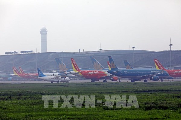 Cục Hàng không Việt Nam: Giá vé máy bay không được vượt giá trần