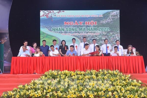 Sơn La xuất khẩu 20 tấn nhãn tươi sang thị trường EU