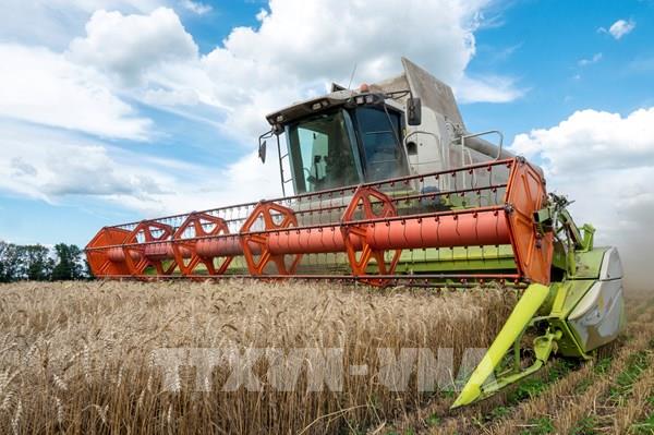 Ukraine tiếp tục chuẩn bị cho xuất khẩu ngũ cốc bất chấp vụ tấn công tên lửa
