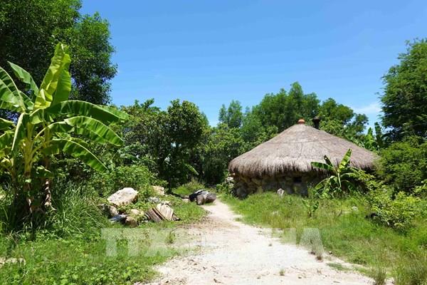 Bình Định: Người dân tự tháo dỡ nhà sàn xây trái phép trên đất rừng phòng hộ Vĩnh Thạnh