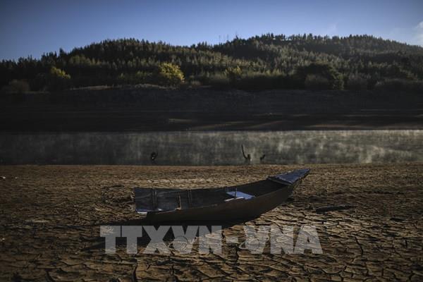 Nắng nóng đe dọa sản xuất lương thực toàn cầu