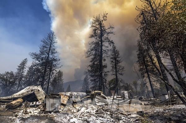 Mỹ: Hàng nghìn người phải sơ tán do cháy rừng