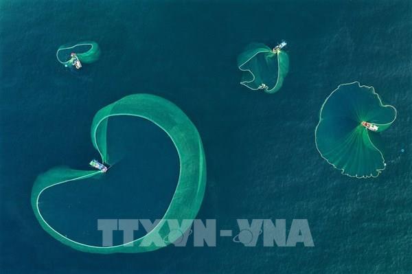 Những khoảnh khắc đẹp nghề lưới vây cá cơm trên biển