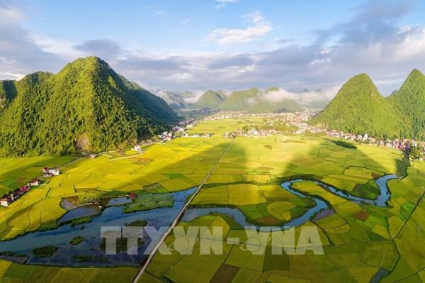 Rực rỡ mùa vàng ở thung lũng Bắc Sơn (Lạng Sơn)