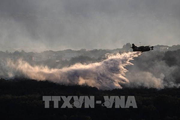 Cháy rừng thiêu rụi hàng trăm ha đất ở miền Đông Nam nước Pháp