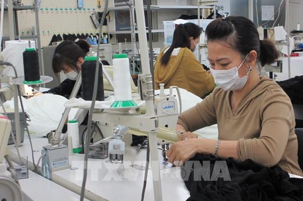 Nhật Bản có thể thiết lập chương trình mới tiếp nhận thực tập sinh nước ngoài