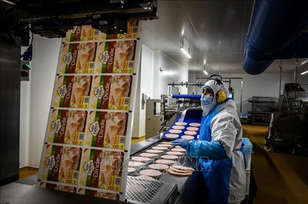 Kinh tế Pháp phục hồi nhanh hơn nhờ động lực xuất khẩu