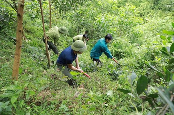 Hiểu đúng về kiểm lâm để họ thêm gắn bó với rừng
