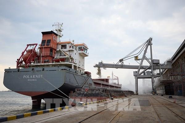 Đoàn tàu đầu tiên chở ngũ cốc Ukraine đến Thổ Nhĩ Kỳ vào tuần tới