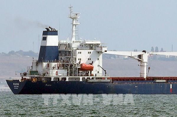 Dư luận về chuyến tàu xuất khẩu ngũ cốc đầu tiên của Ukraine