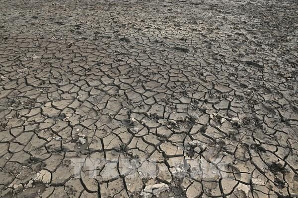 Anh và Pháp trải qua tháng 7 khô hạn nhất trong lịch sử