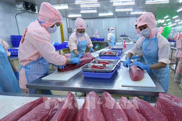 Xuất khẩu nông, lâm, thủy sản tăng trên 14%