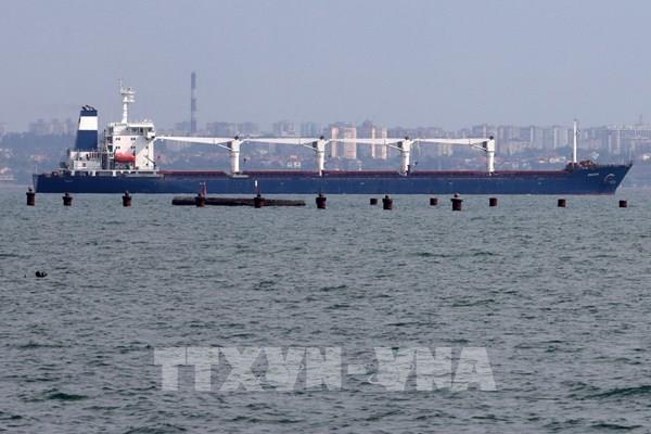 Tàu hàng chở ngũ cốc đầu tiên của Ukraine hoãn cập cảng Liban