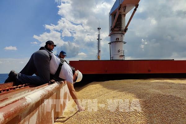Thổ Nhĩ Kỳ: Thêm 3 tàu chở ngũ cốc rời Ukraine trong ngày 5/8