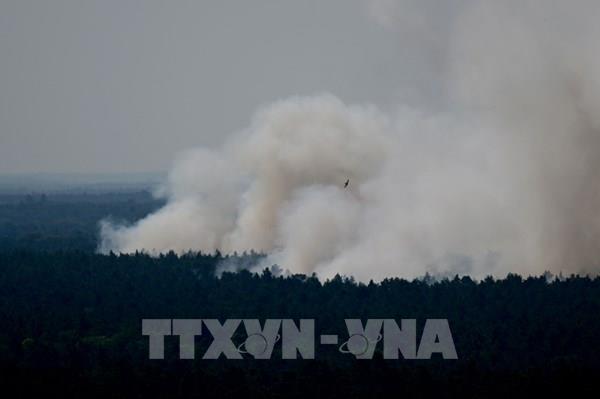 Đức tạm thời kiểm soát được đám cháy tại kho chứa đạn dược trong rừng Grunewald