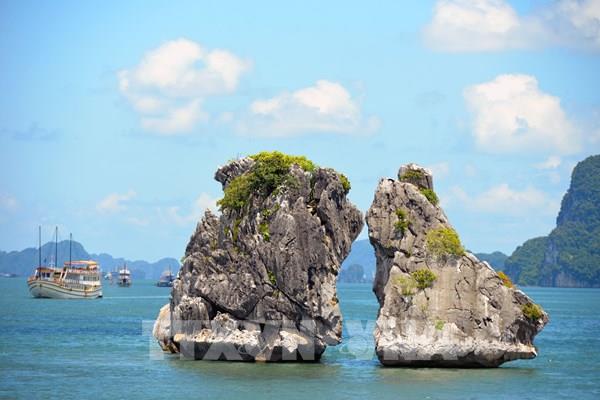 Quảng Ninh miễn, giảm phí tham quan Vịnh Hạ Long, Bái Tử Long