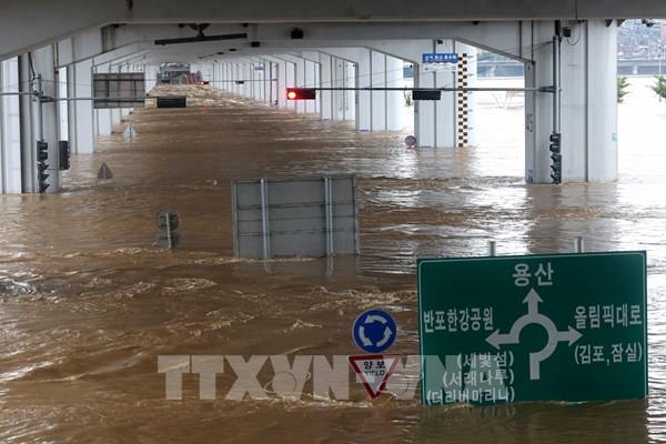 Tổng thống Hàn Quốc họp khẩn nhằm khắc phục trận mưa lũ lịch sử