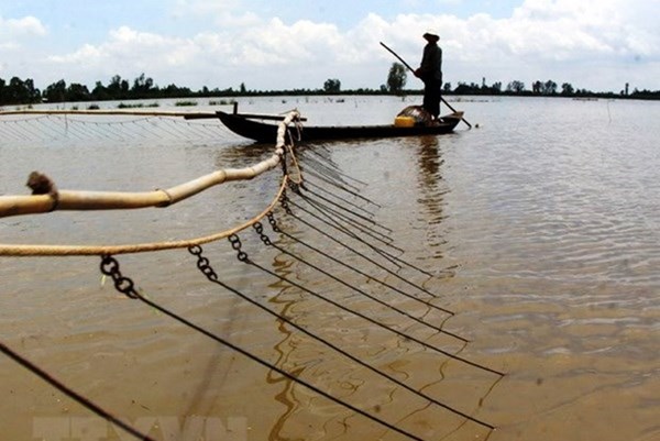 Lũ nội đồng có nguy cơ ảnh hưởng đến sản xuất ở Đồng bằng sông Cửu Long