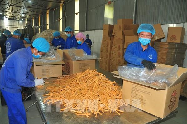 Xây dựng thương hiệu nông sản trên nền tảng công nghệ số