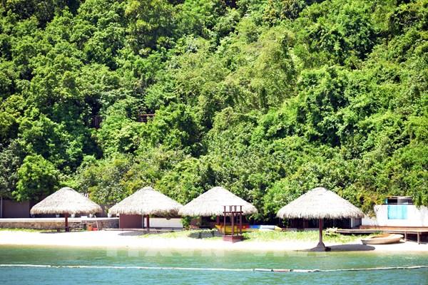 Quảng Ninh: Du khách mất tiền mua vé nhưng không được lên đảo Soi Sim