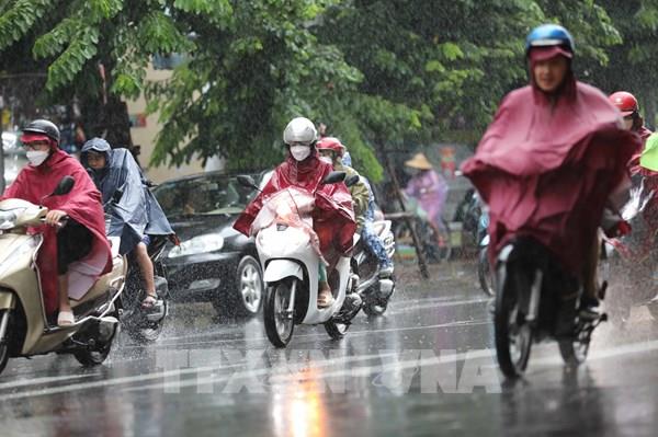 Tin mới nhất về áp thấp nhiệt đới