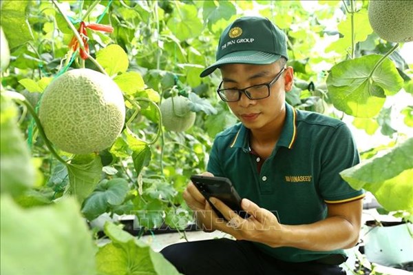 Ứng dụng công nghệ trong thu thập thông tin, dự báo thị trường nông sản