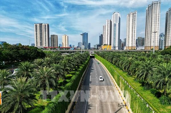 Những con đường "màu xanh" của Thủ đô