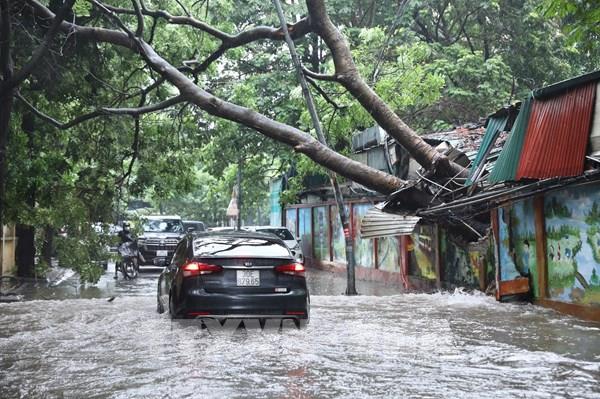 Dự báo thời tiết 10 ngày tới: Nhiều khu vực có mưa dông