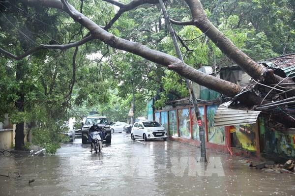 Dự báo thời tiết hôm nay 2/11: Từ Thừa Thiên - Huế đến Bình Định mưa to