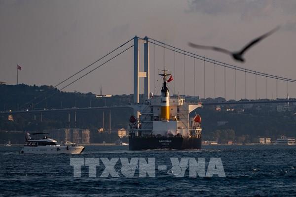 Thêm 2 tàu chở ngũ cốc rời Ukraine