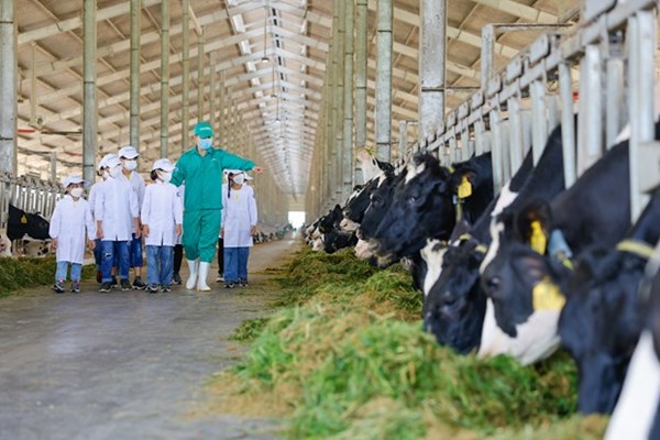 Vinamilk được sự đánh giá cao về phát triển bền vững