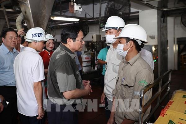 Thủ tướng: Xây dựng đề án tái cơ cấu Nhà máy Đạm Ninh Bình đảm bảo chất lượng, khả thi