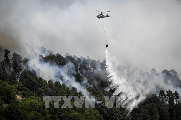 Châu Âu ghi nhận con số kỷ lục về các vụ cháy rừng trong năm 2022