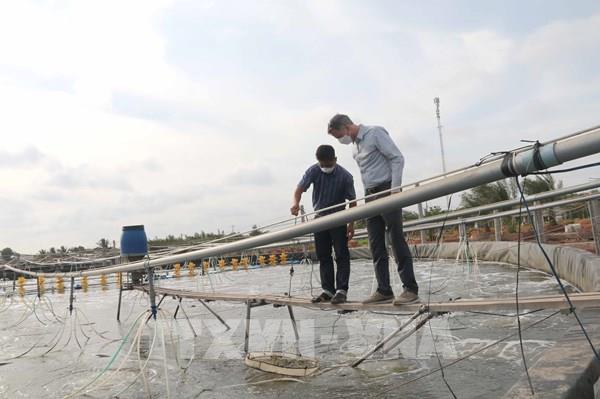 Hiệu quả nuôi trồng thủy sản cao hơn 2 - 5 lần nhờ áp dụng công nghệ