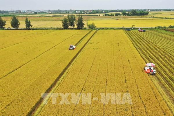 Dấu chân hợp tác xã trên hành trình xanh