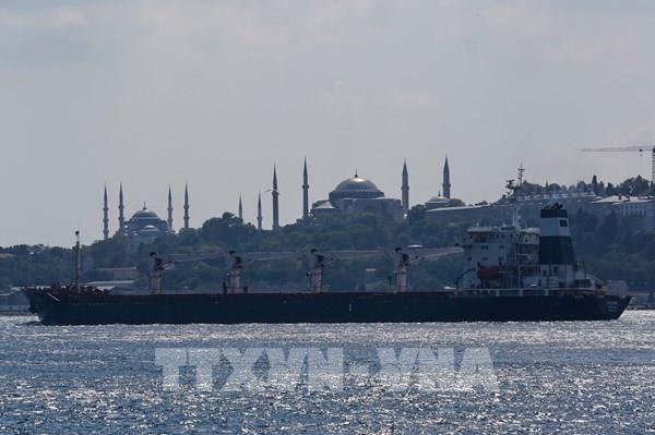 Chuyến tàu ngũ cốc Ukraine đầu tiên đang tiến đến cảng Tartous ở Syria