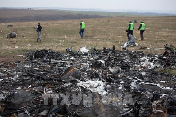 Vụ rơi máy bay MH17: Tòa án Hà Lan ấn định thời điểm công bố phán quyết