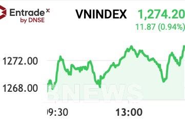 Chứng khoán ngày 15/8: Sắc xanh ngập tràn, VN-Index tăng gần 12 điểm