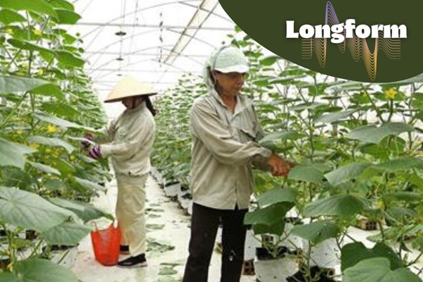 Bnews - LongForm - Hướng tới nền nông nghiệp xanh