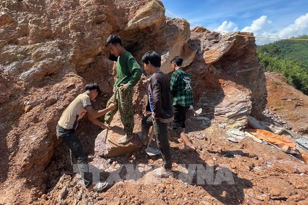 "Vàng tặc" thu lợi, rừng thu hẹp