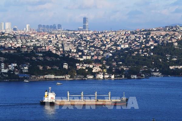 Chuyến tàu chở ngũ cốc đầu tiên của Ukraine đã cập cảng Syria