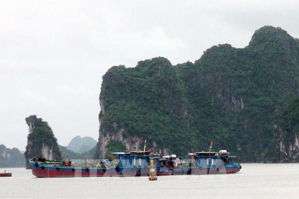 Thực hư thông tin về "hòn non bộ" trên vịnh Hạ Long