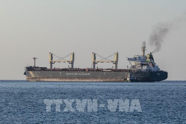 Thêm 5 tàu chở ngũ cốc xuất khẩu của Ukraine cùng khởi hành