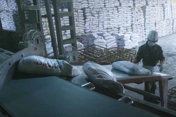 Phân lân Văn Điển tập trung nguồn lực, nỗ lực đạt doanh thu trên 1.000 tỷ đồng