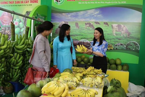 Khai mạc hội chợ giống, nông nghiệp công nghệ cao năm 2022