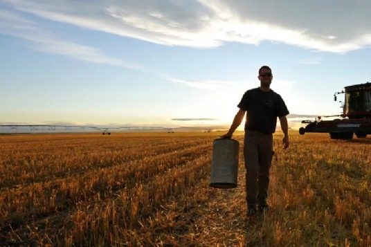 Sức khoẻ tâm thần của nông dân Canada ngày càng yếu đi