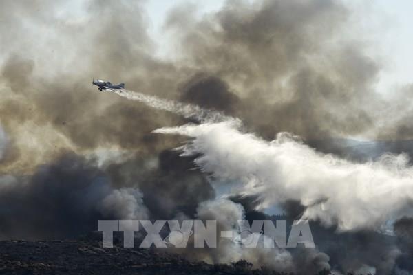 Tây Ban Nha đã kiểm soát được đám cháy rừng ở miền Đông