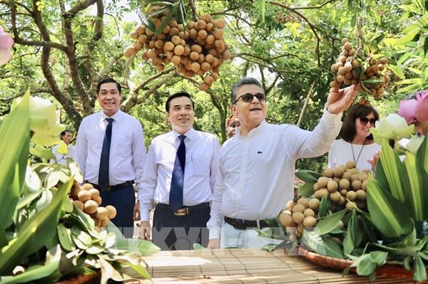 Quảng bá nhãn lồng Hưng Yên với khách quốc tế